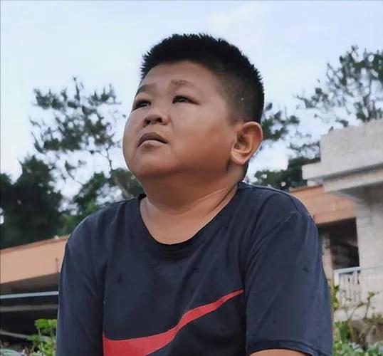 职业生涯概览 职业生涯概览